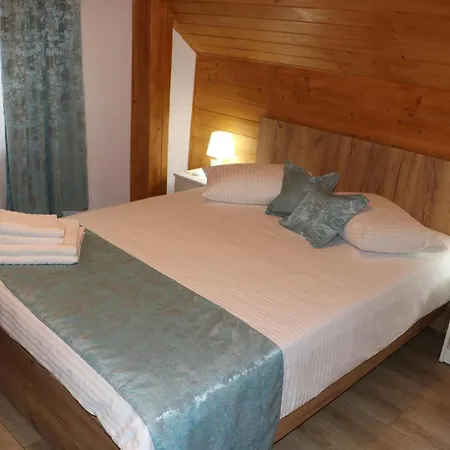 Casa Camelia Săcel