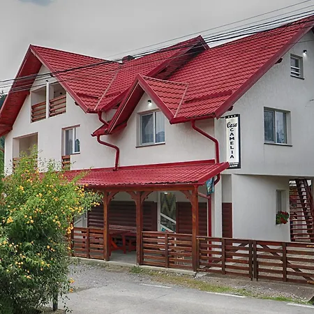 Casa Camelia Πανδοχείο Săcel