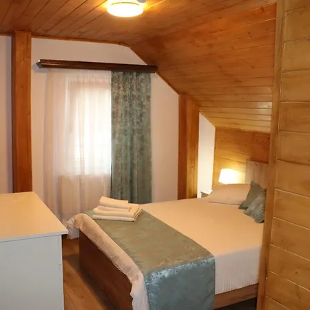 Casa Camelia Săcel