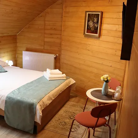 Casa Camelia Penzion Săcel