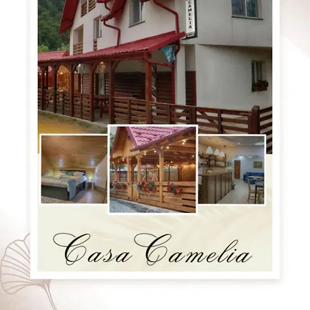 Πανδοχείο Casa Camelia *